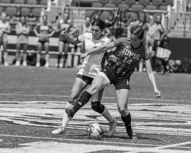 Athlete profile featured image number 5 of 6