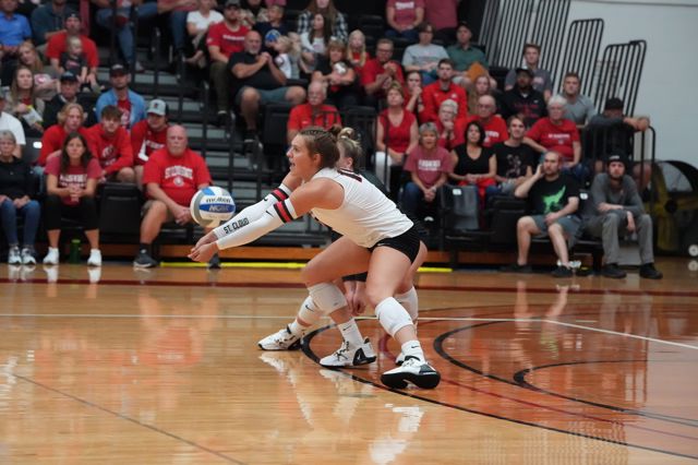 Athlete profile featured image number 5 of 5