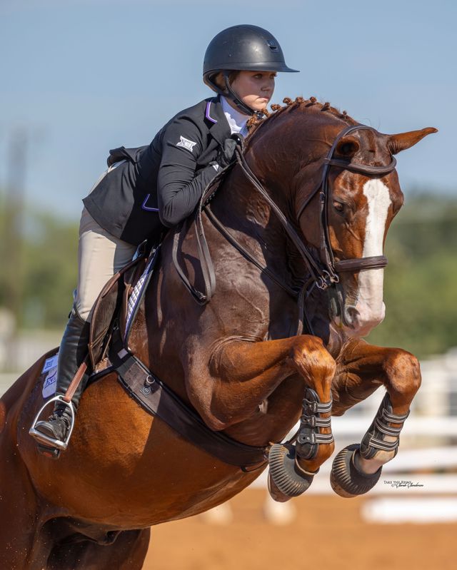 Athlete profile featured image number 1 of 4