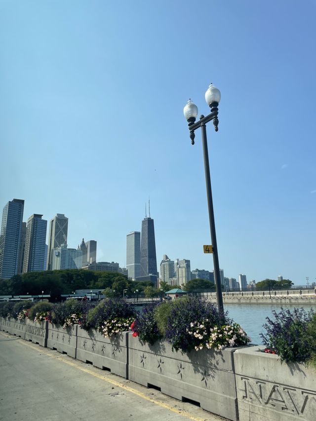 Athlete profile featured image number 3 of 10