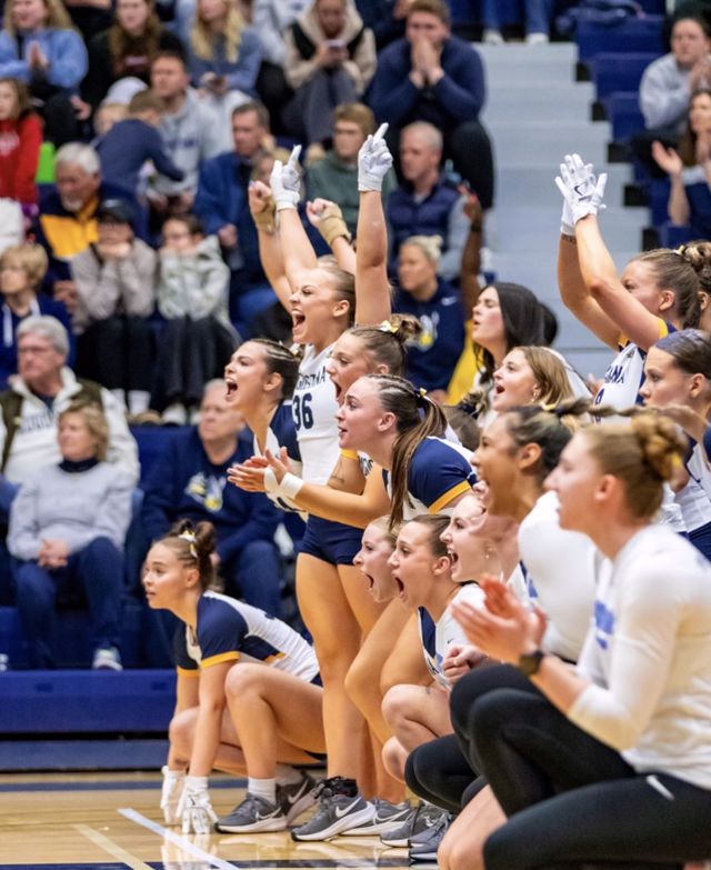 Athlete profile featured image number 4 of 8