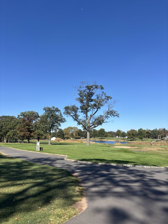 Athlete profile featured image number 2 of 4