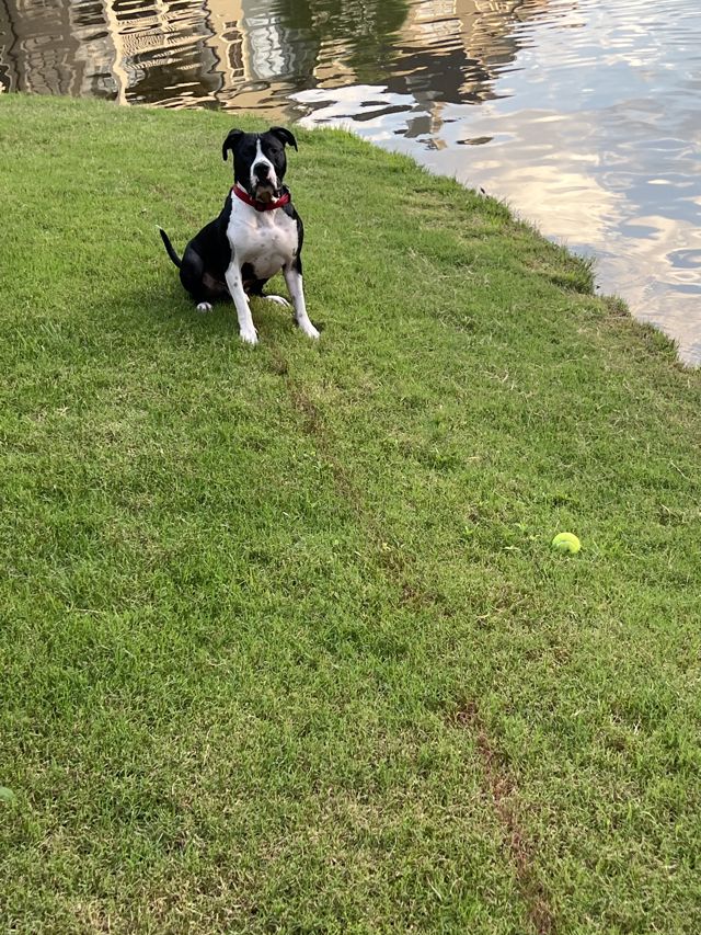 Athlete profile featured image number 3 of 7