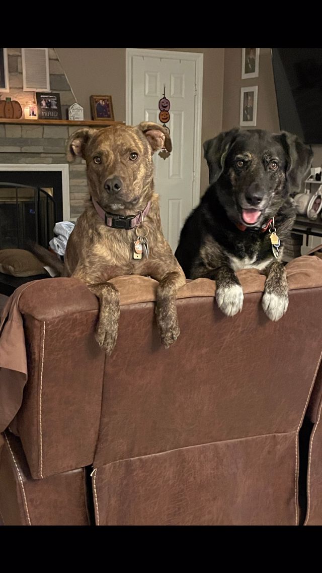 Athlete profile featured image number 5 of 5