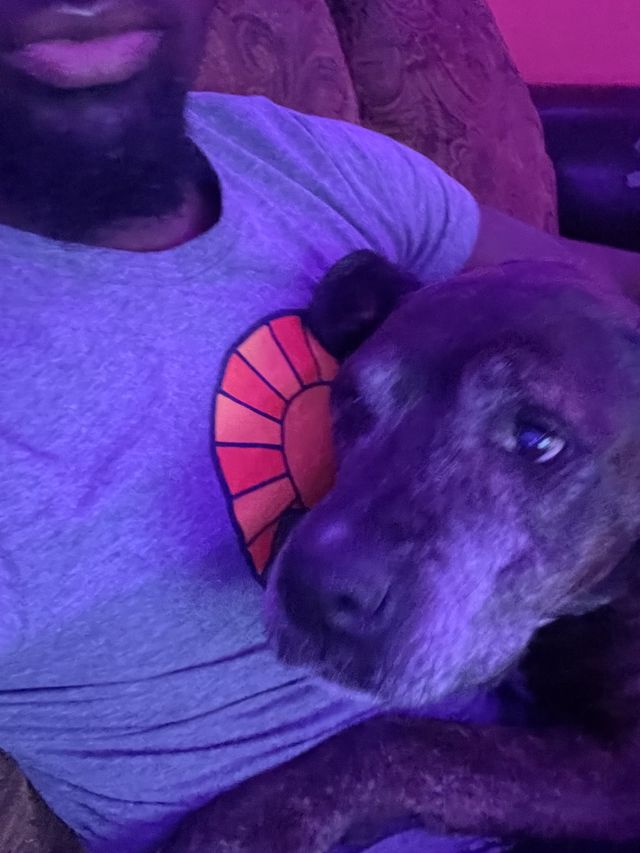 Athlete profile featured image number 9 of 9