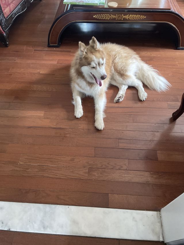 Athlete profile featured image number 8 of 9