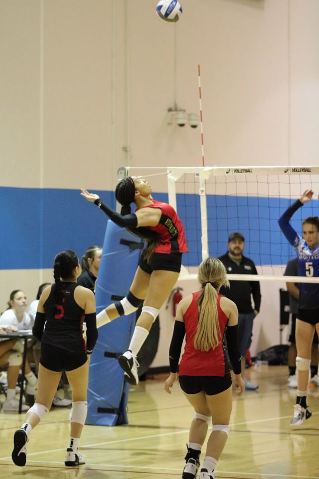 Athlete profile featured image number 1 of 5
