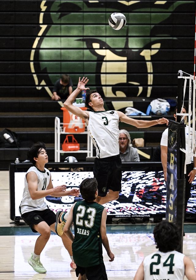 Athlete profile featured image number 5 of 5