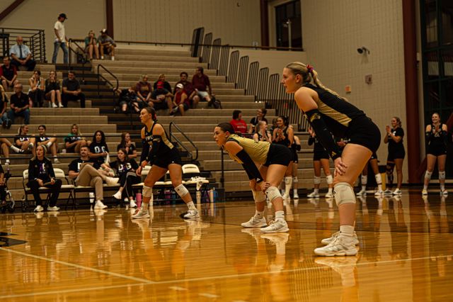 Athlete profile featured image number 5 of 5
