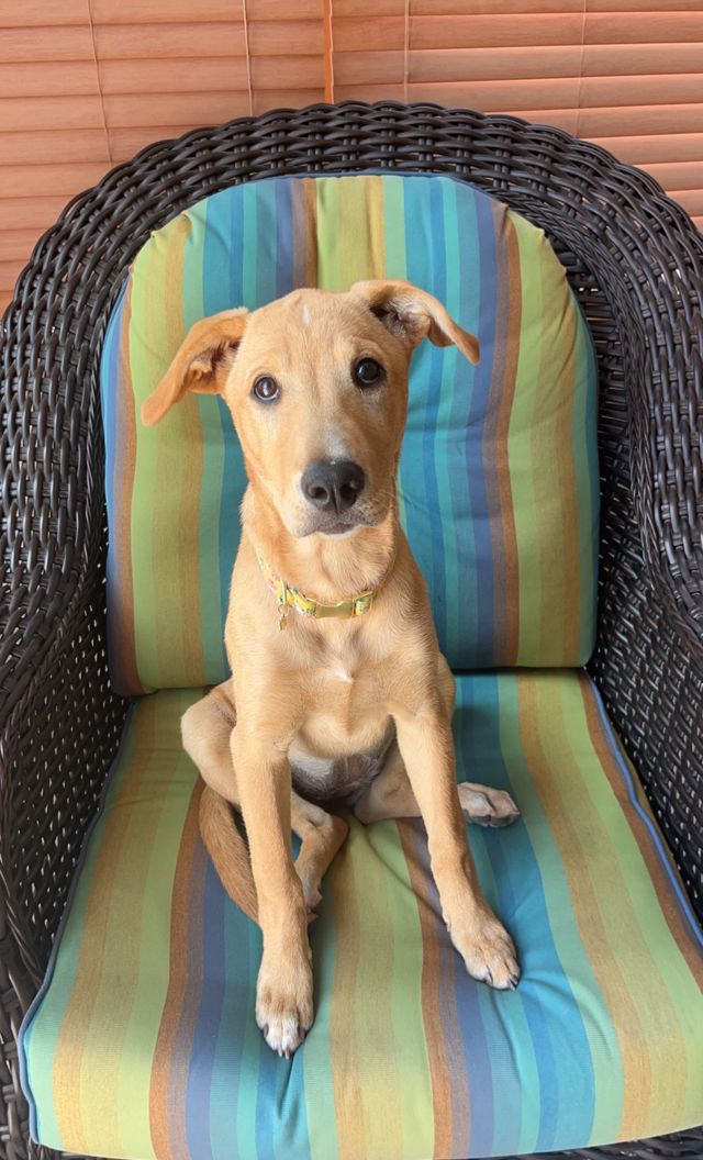 Athlete profile featured image number 4 of 10