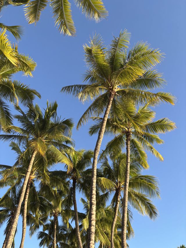 Athlete profile featured image number 3 of 5