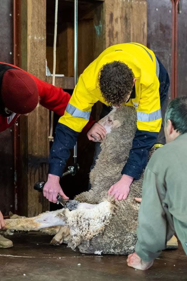 Athlete profile featured image number 3 of 9