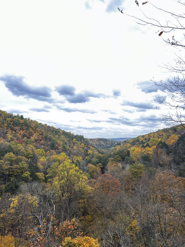 Athlete profile featured image number 1 of 7