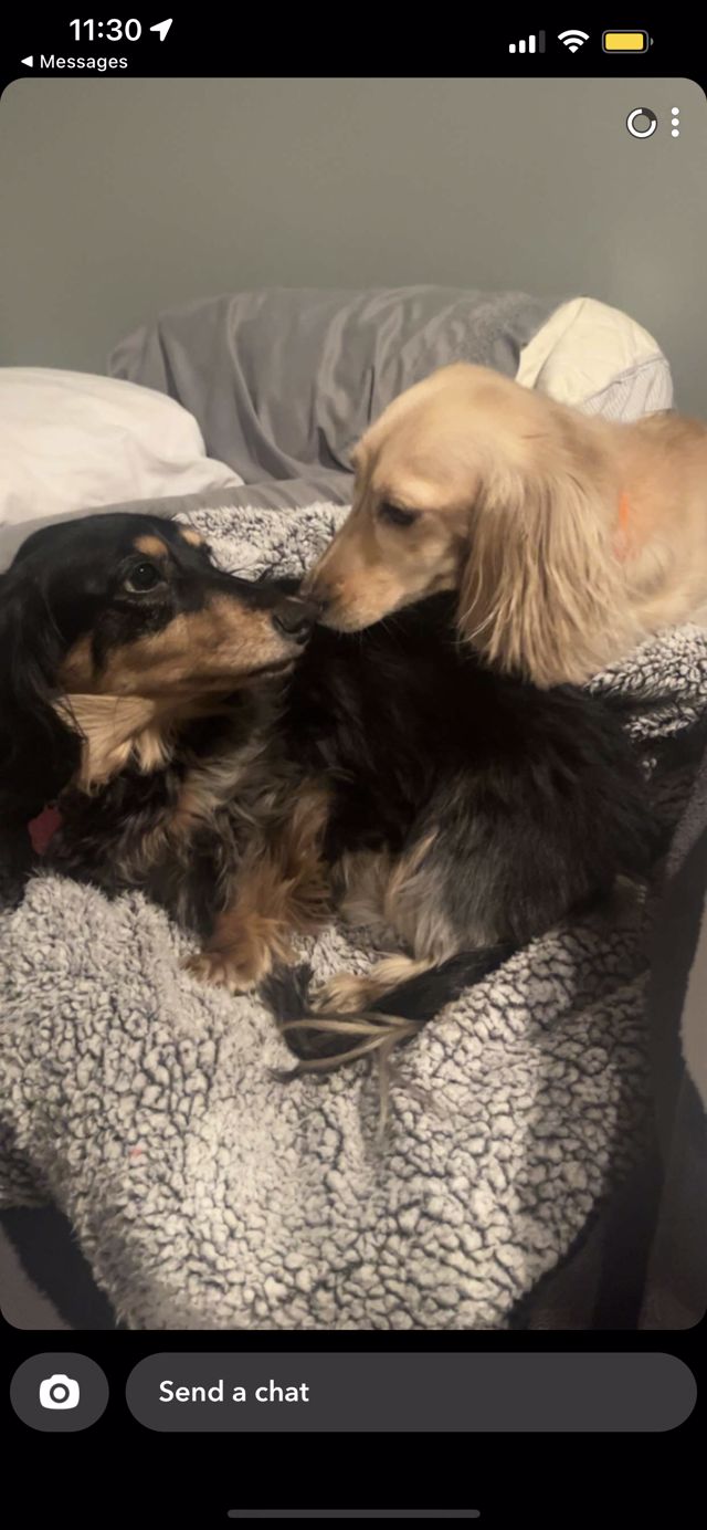 Athlete profile featured image number 8 of 8