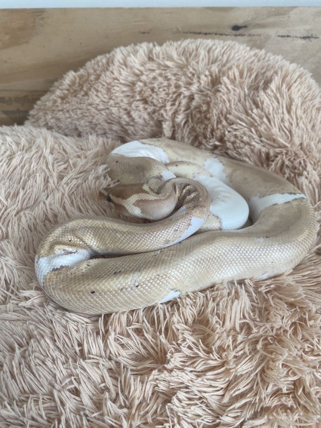 Athlete profile featured image number 8 of 9